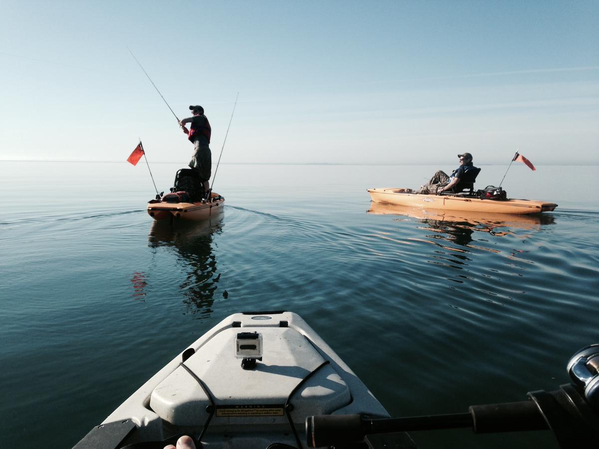 فيلا Normandaleفي Long Point Eco-Adventures المظهر الخارجي الصورة