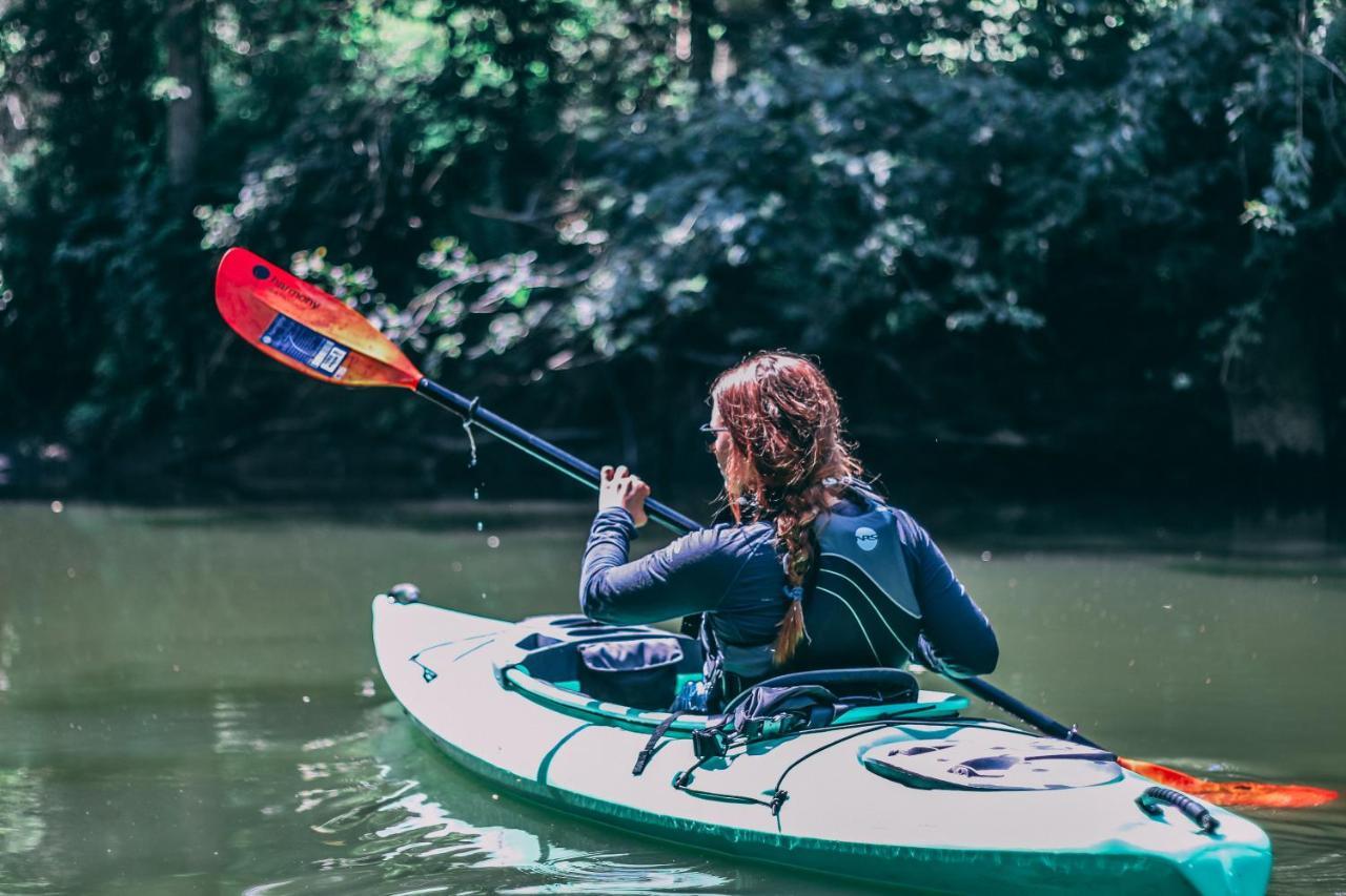 فيلا Normandaleفي Long Point Eco-Adventures المظهر الخارجي الصورة